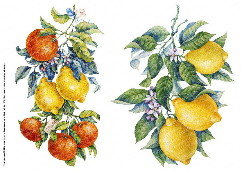 Декупажная карта 1701