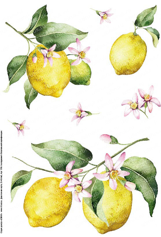 Декупажная карта 1704